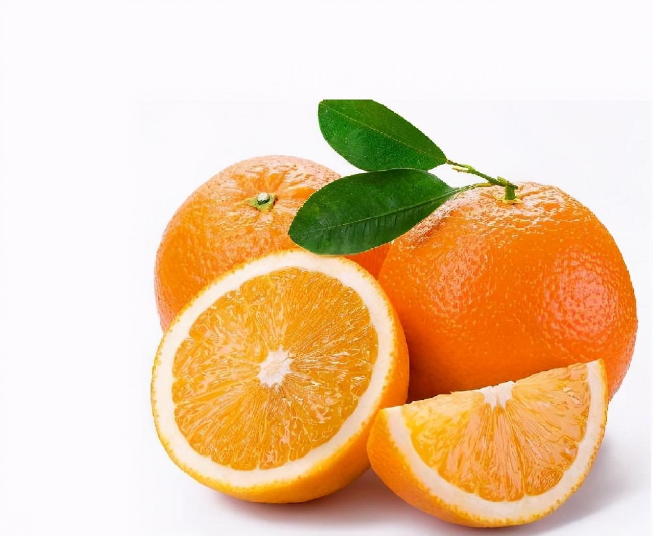 脐橙种植成本和利润(脐橙树的生长过程)