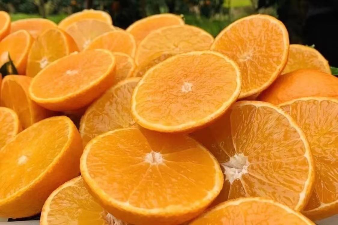 中国哪个省的脐橙最好吃最正宗