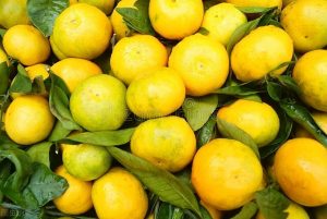 柑橘中的类胡萝卜素含量远高于其他秋季水果-安远脐橙