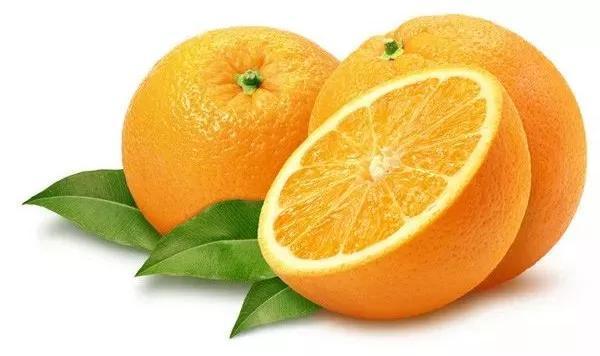 朋娜脐橙有什么特点