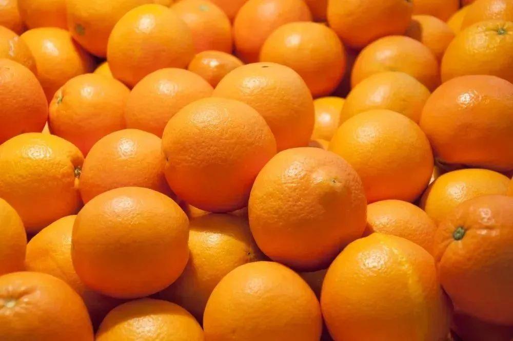 赣州脐橙种植数据各县分布数据