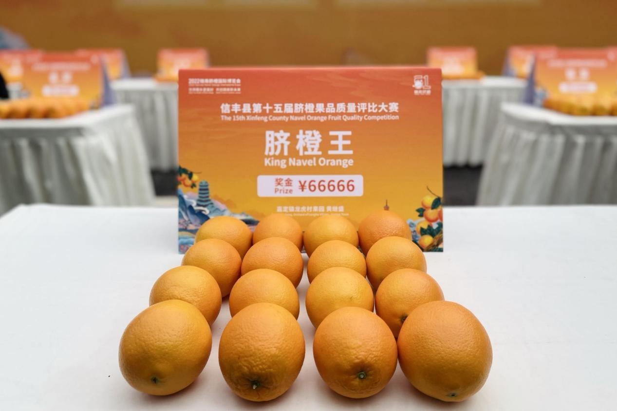 图片[2]-2022赣南脐橙国际博览会开幕，加快建世界级脐橙产业基地-安远脐橙
