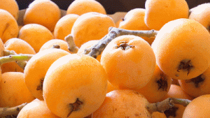 解决便秘的减脂水果有哪些-安远脐橙