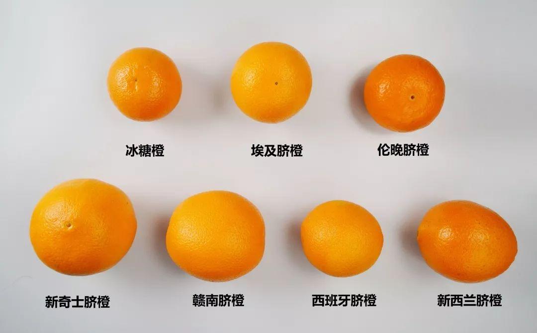 健康的脐橙你真的会选吗？