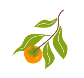 信丰脐橙苗哪里最好(种橙30年，信丰老果农和老树橙，一起慢慢变老了…)