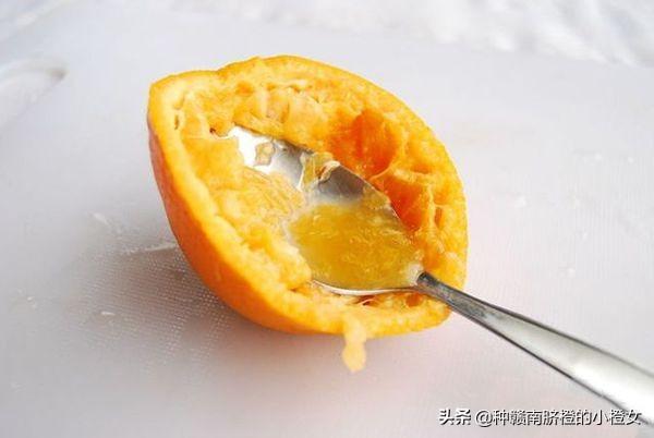 脐橙果汁的做法窍门(脐橙加什么榨汁好喝)