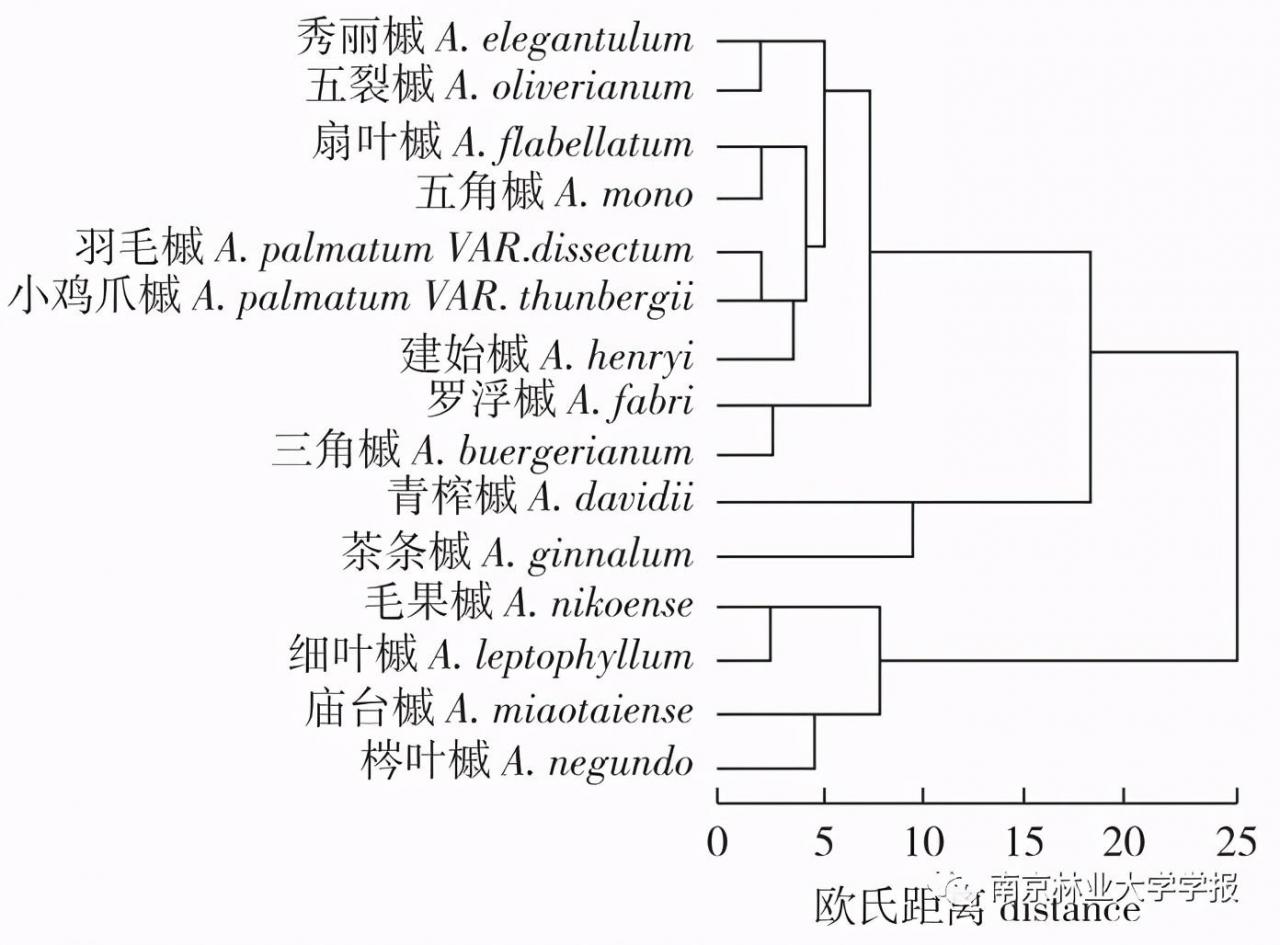 槭树靠什么传播种子的(多样性与风传播特征分析)