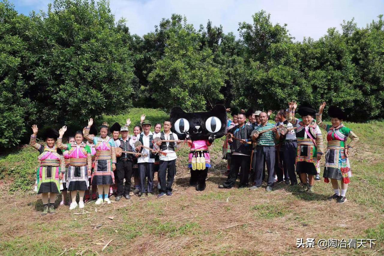 夏威夷果树苗适合什么地方种植(1亿果树加入天猫云上茶马古道)