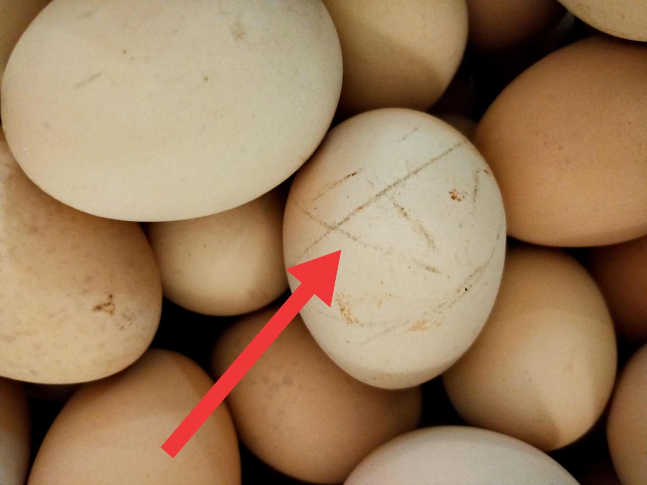 如何辨别正宗土鸡蛋？多种关键词告诉你！