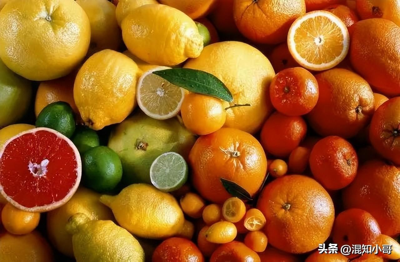 柑橘家族介绍：进化史和品种特点全解析！