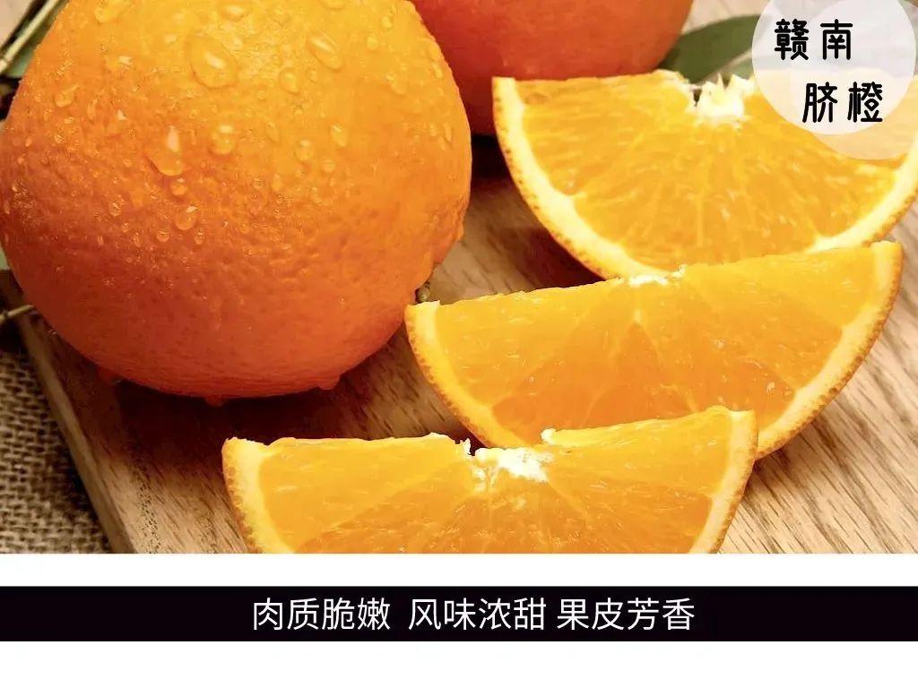 江西赣南脐橙：百亿级产业助力经济高质量发展-安远脐橙
