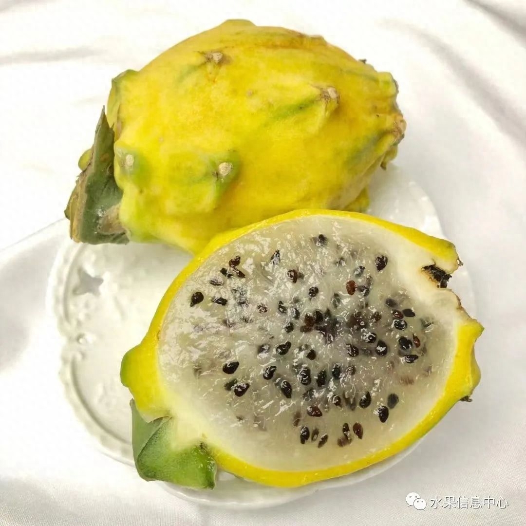 黄色水果种类多样化，黄樱桃、黄晶果等不常见黄色水果介绍