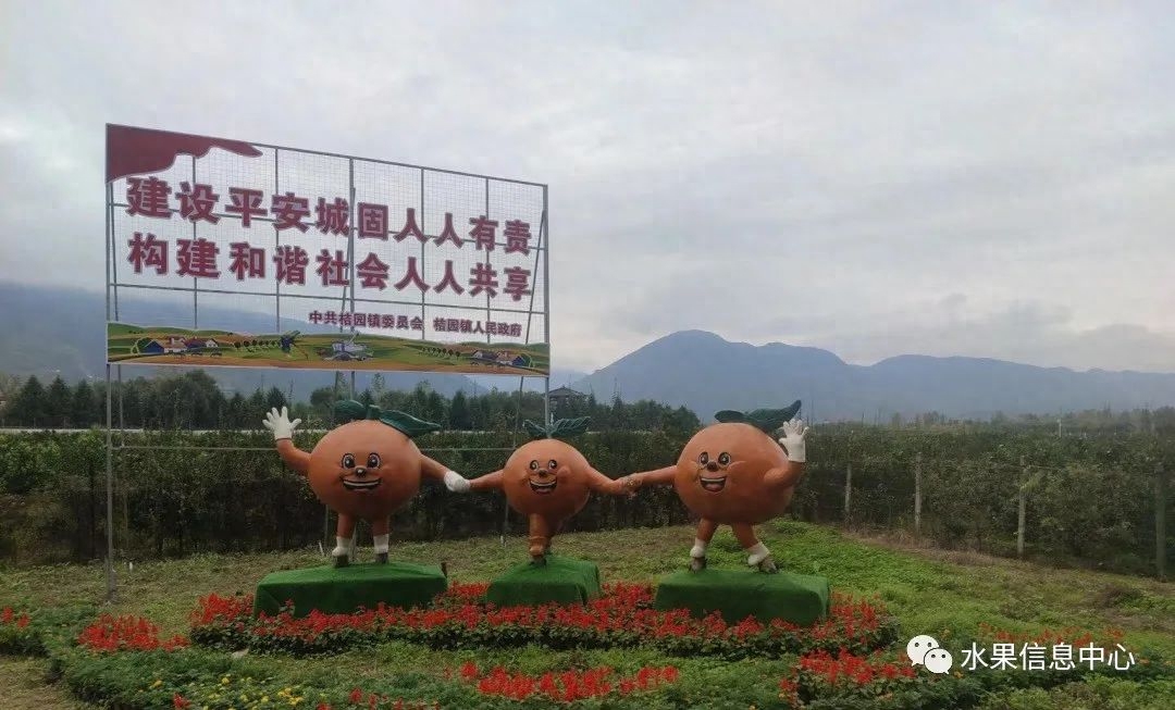 中国蜜橘之乡的代表产区【眼下，正是橘子刷存在感的时刻了】