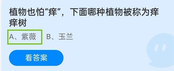 痒痒树是哪种植物？紫薇成为蚂蚁庄园小课堂的正确答案！