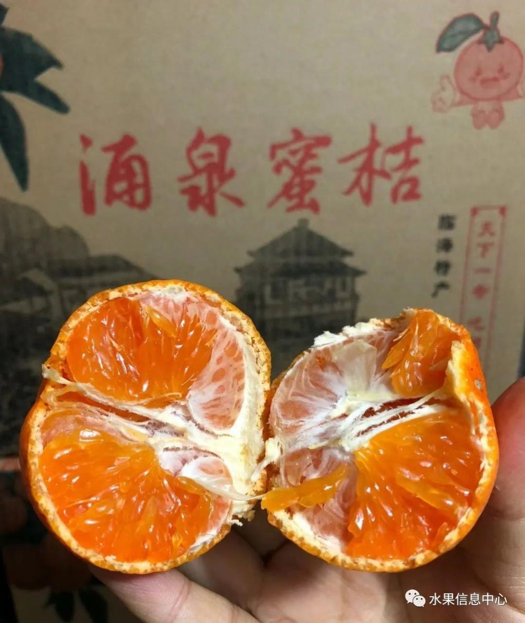 中国蜜橘之乡的代表产区【眼下，正是橘子刷存在感的时刻了】