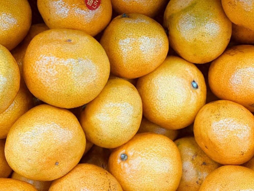 秋冬之味：了解柑橘，从“橘子”和“桔子”开始
