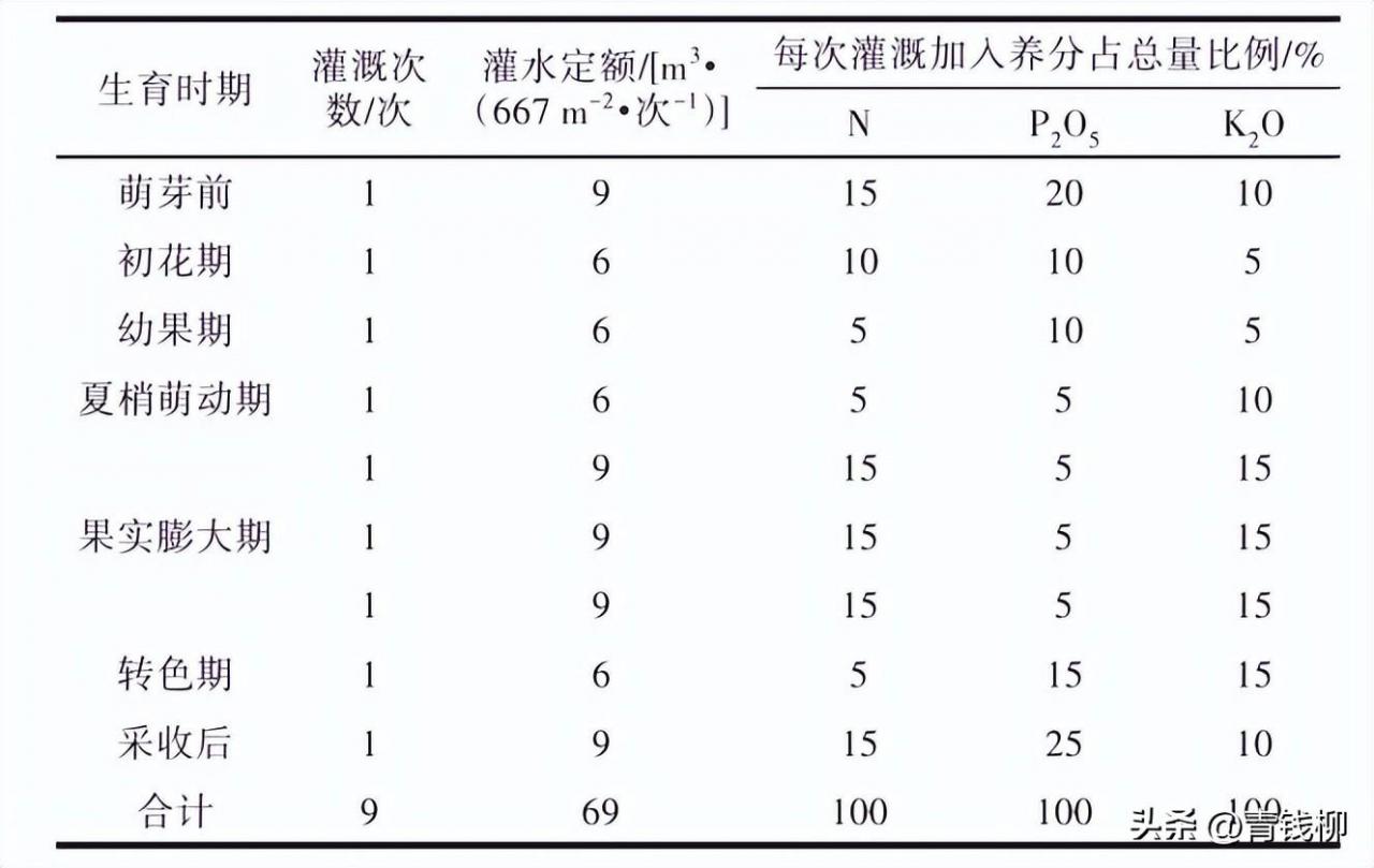 广东柑橘园水肥一体化技术及树体管理方法详解