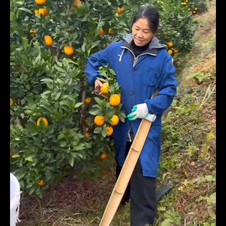 寒冬为何选择赣南脐橙？补水、补维C，享受大自然的珍贵礼物！-安远脐橙网-江西赣南脐橙批发、零售、代理综合信息平台