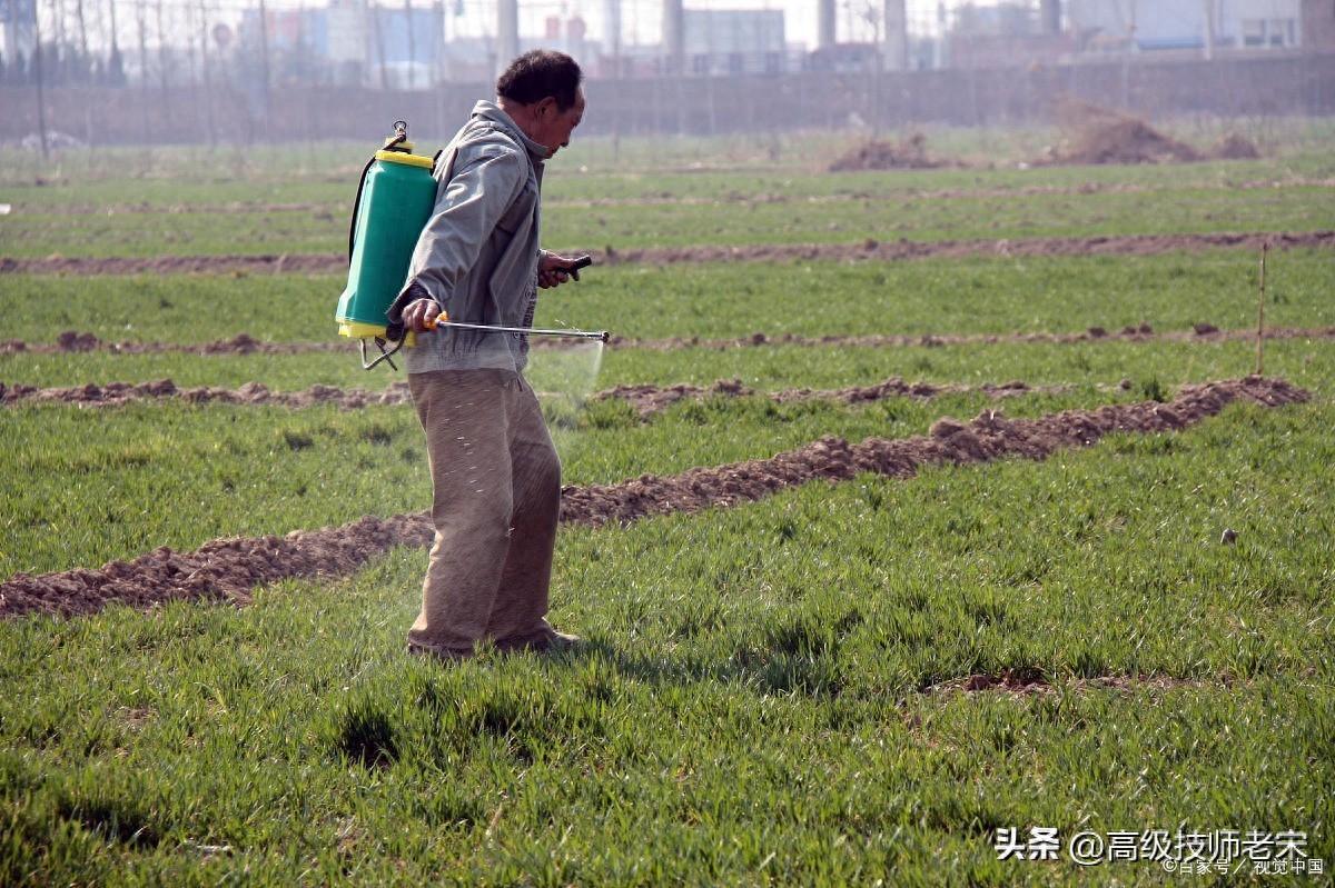 敌草快和百草枯除草剂对比：成分、作用机理、使用效果与安全性-安远脐橙网-江西赣南脐橙批发、零售、代理综合信息平台